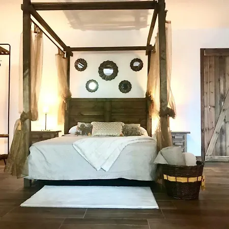 Apartamento Canales La Matanza De Acentejo